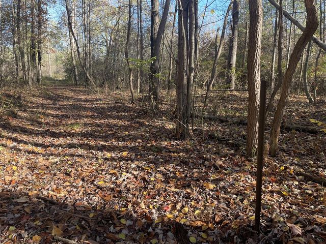 104th Avenue, Grand Junction, MI 49056