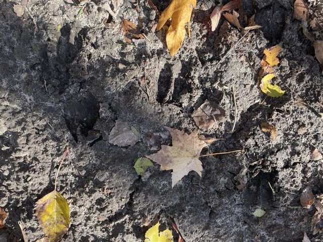 104th Avenue, Grand Junction, MI 49056