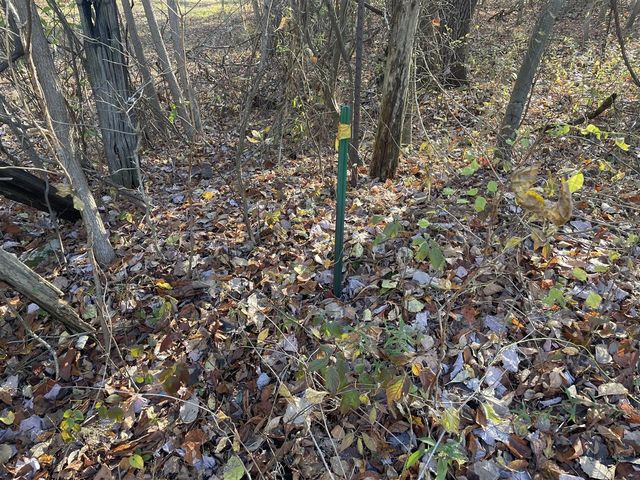 104th Avenue, Grand Junction, MI 49056