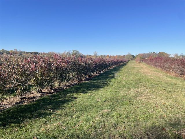 104th Avenue, Grand Junction, MI 49056