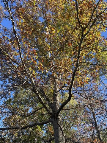 104th Avenue, Grand Junction, MI 49056