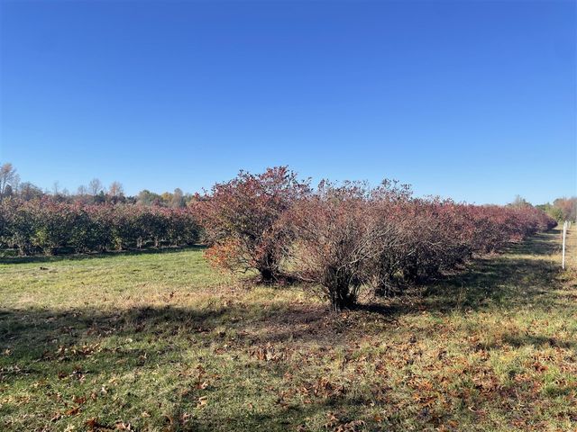 104th Avenue, Grand Junction, MI 49056