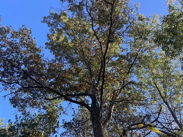 104th Avenue, Grand Junction, MI 49056