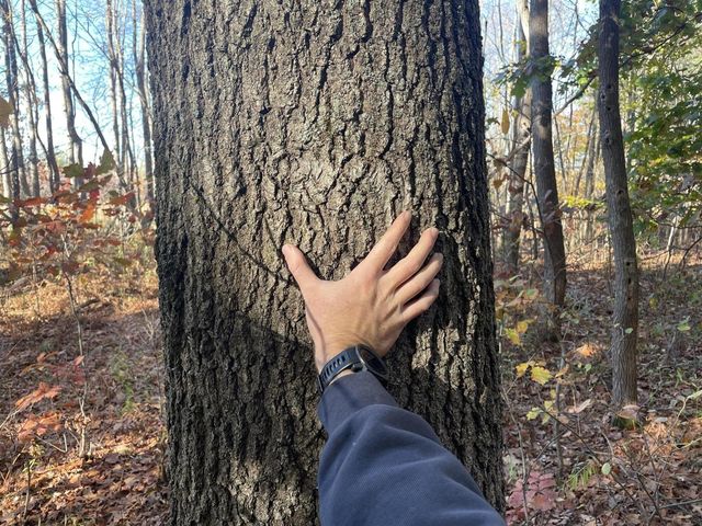 104th Avenue, Grand Junction, MI 49056