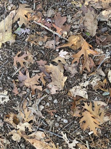 104th Avenue, Grand Junction, MI 49056