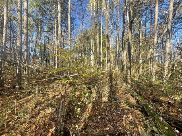 104th Avenue, Grand Junction, MI 49056