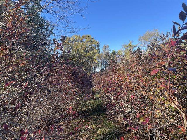 104th Avenue, Grand Junction, MI 49056