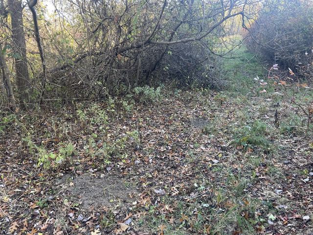 104th Avenue, Grand Junction, MI 49056