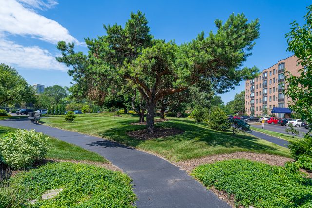 637 E Woodland Park Avenue 302, Chicago, IL 60616