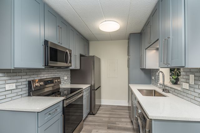 637 E Woodland Park Avenue 302, Chicago, IL 60616