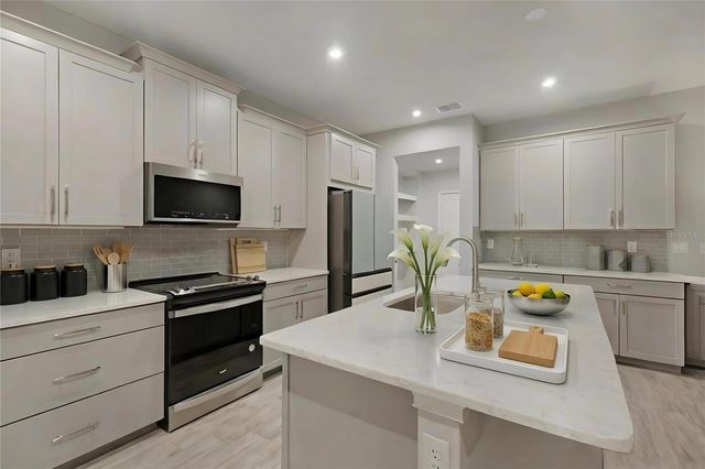 19431 MONARCH WIND WAY, Lutz, FL 33558