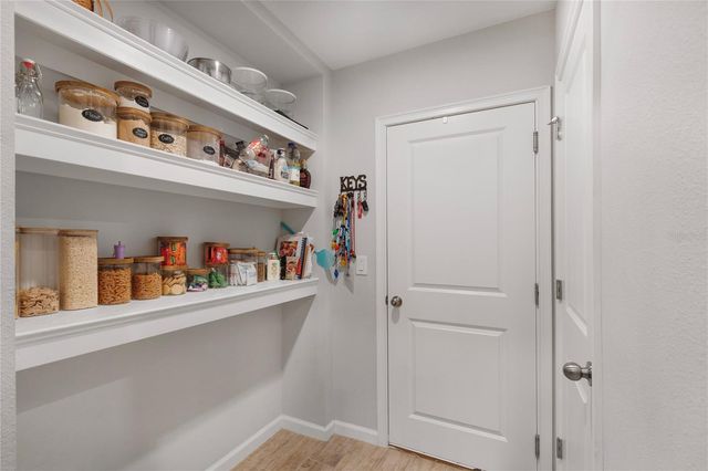 19431 MONARCH WIND WAY, Lutz, FL 33558