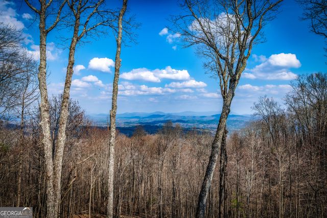 176 Katahdin Drive, Mineral Bluff, GA 30559