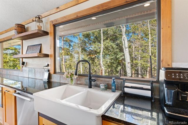 11325 Pauls Drive, Conifer, CO 80433