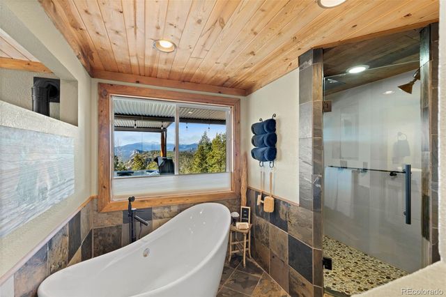 11325 Pauls Drive, Conifer, CO 80433