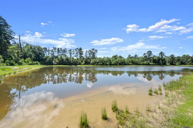 9674 Brookfield Ave, Denham Springs, LA 70726