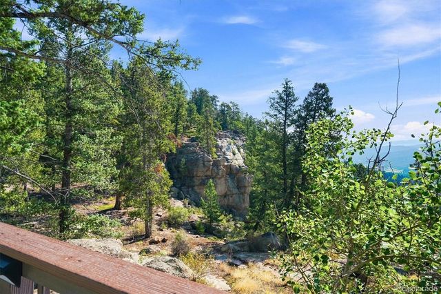 30851 Pike View Drive, Conifer, CO 80433