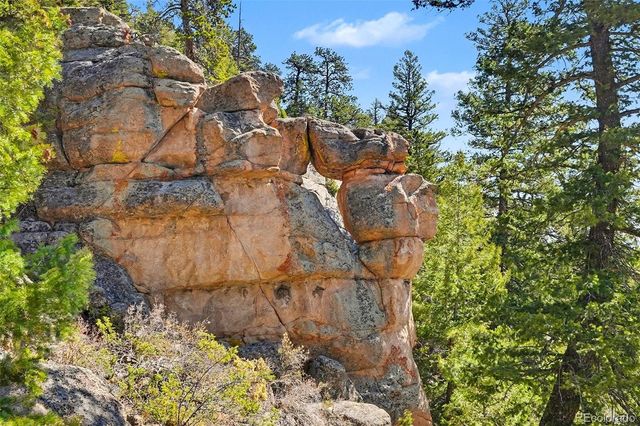 30851 Pike View Drive, Conifer, CO 80433