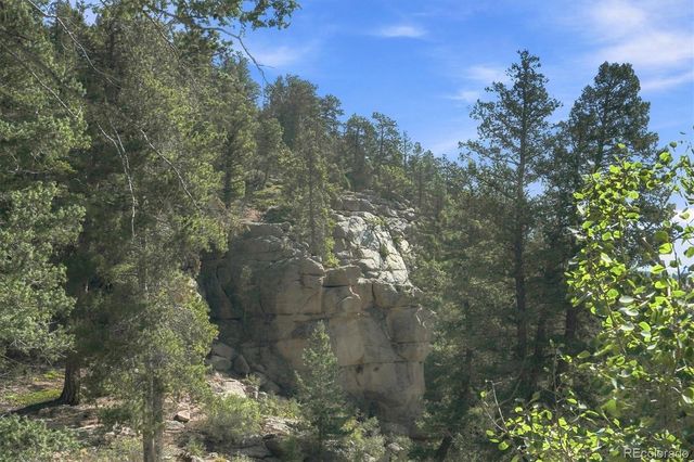 30851 Pike View Drive, Conifer, CO 80433