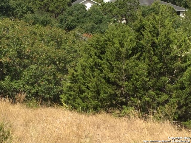 318 GALLAGHER DR, Canyon Lake, TX 78133