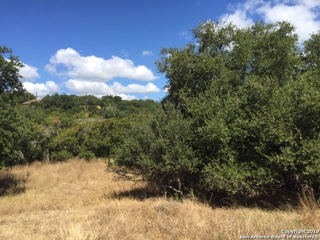 318 GALLAGHER DR, Canyon Lake, TX 78133