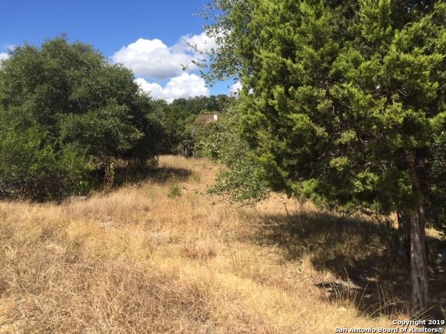 318 GALLAGHER DR, Canyon Lake, TX 78133