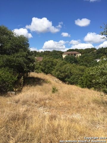 318 GALLAGHER DR, Canyon Lake, TX 78133