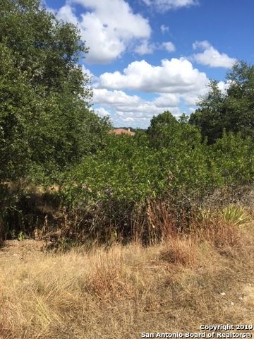 318 GALLAGHER DR, Canyon Lake, TX 78133
