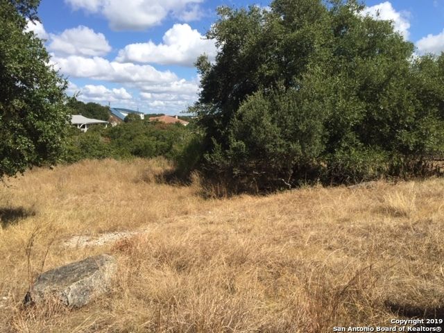 318 GALLAGHER DR, Canyon Lake, TX 78133