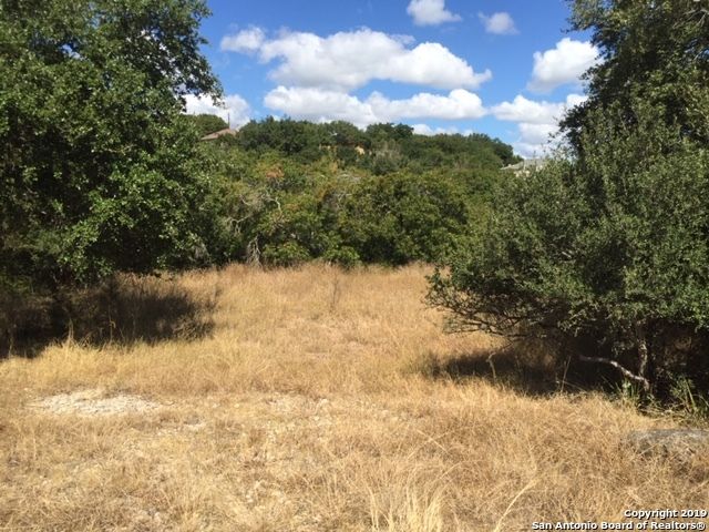 318 GALLAGHER DR, Canyon Lake, TX 78133