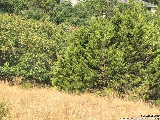 318 GALLAGHER DR, Canyon Lake, TX 78133