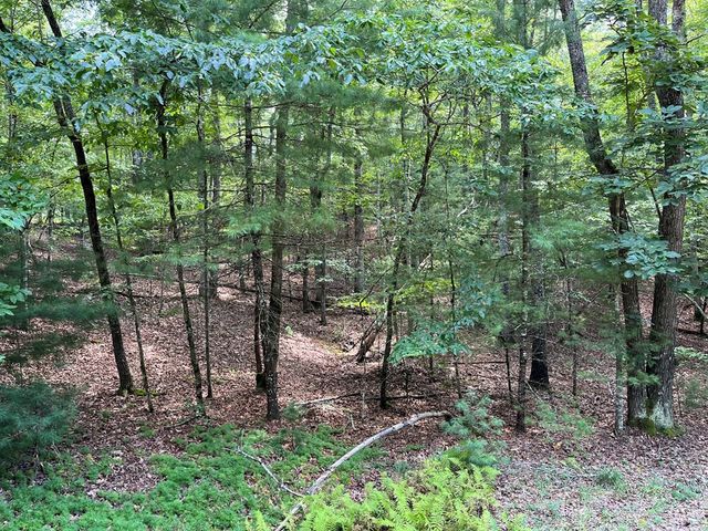 TBD Sheep Knob, Murphy, NC 28906