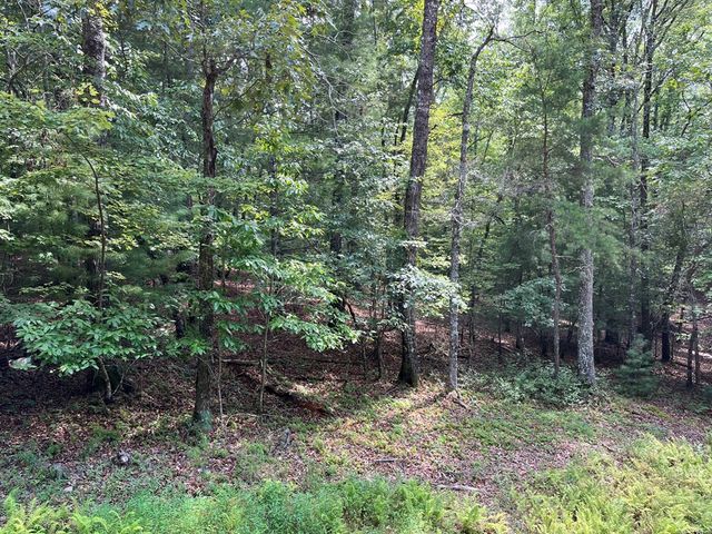 TBD Sheep Knob, Murphy, NC 28906