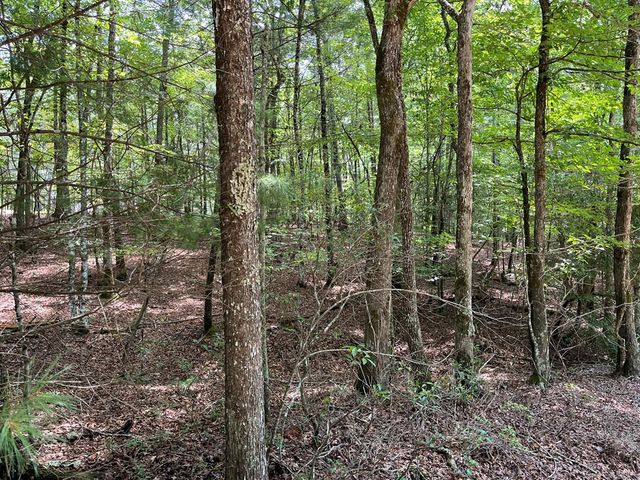 TBD Sheep Knob, Murphy, NC 28906