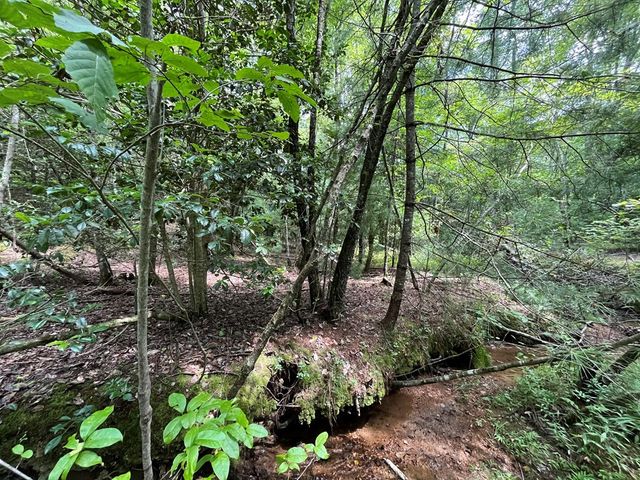 TBD Sheep Knob, Murphy, NC 28906