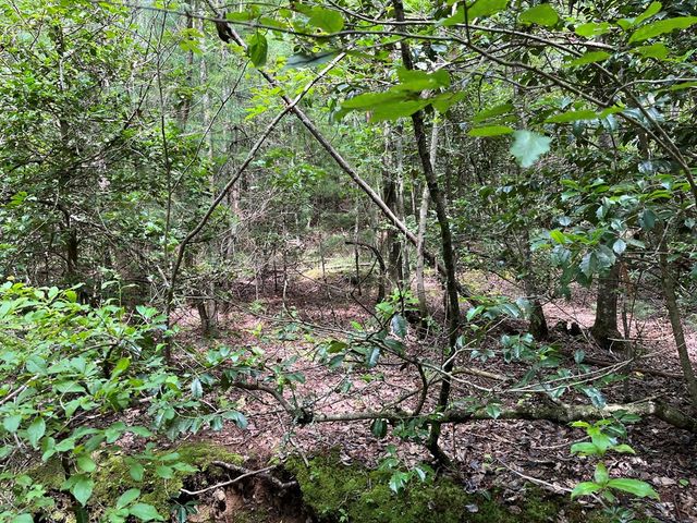 TBD Sheep Knob, Murphy, NC 28906