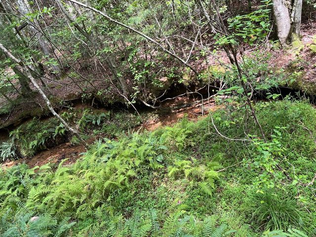 TBD Sheep Knob, Murphy, NC 28906