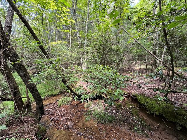 TBD Sheep Knob, Murphy, NC 28906