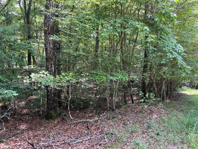 TBD Sheep Knob, Murphy, NC 28906