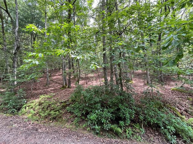 TBD Sheep Knob, Murphy, NC 28906