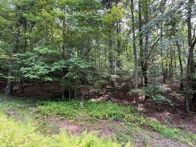 TBD Sheep Knob, Murphy, NC 28906