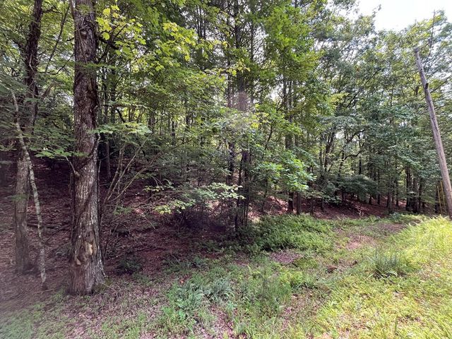 TBD Sheep Knob, Murphy, NC 28906