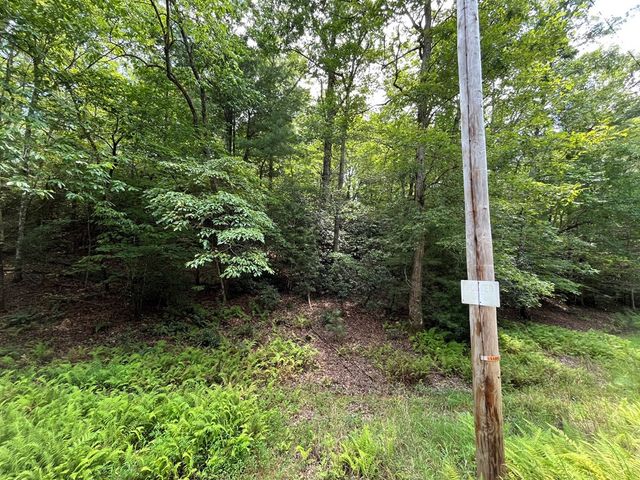 TBD Sheep Knob, Murphy, NC 28906