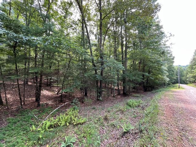 TBD Sheep Knob, Murphy, NC 28906