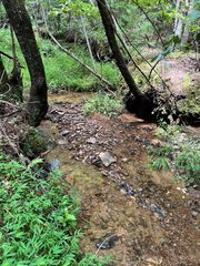TBD Sheep Knob, Murphy, NC 28906