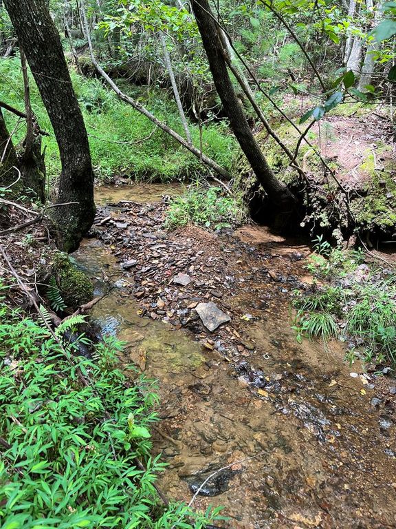 TBD Sheep Knob, Murphy, NC 28906