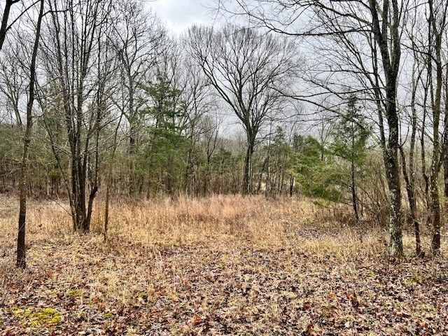 0 Old Shannon Rd, Lebanon, TN 37087