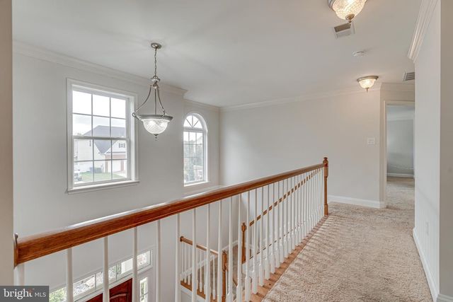 3023 WILDFLOWER DR, La Plata, MD 20646