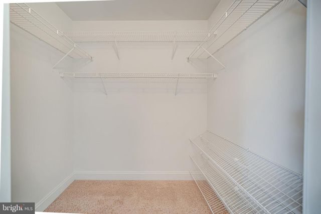 3023 WILDFLOWER DR, La Plata, MD 20646