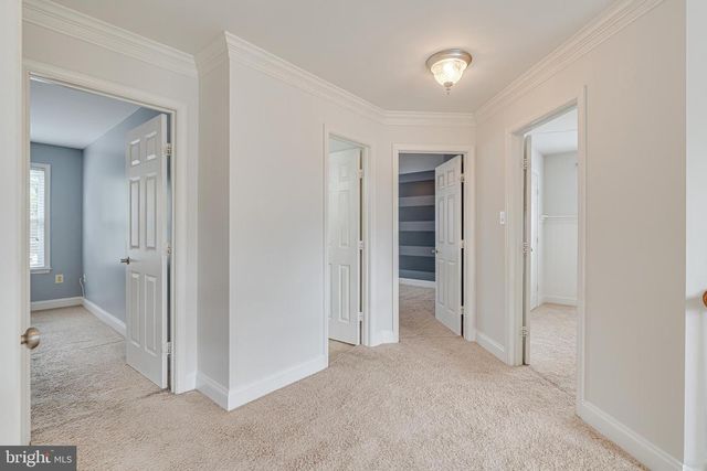 3023 WILDFLOWER DR, La Plata, MD 20646